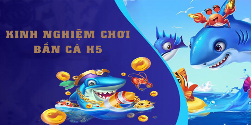 Chia sẻ cách chơi bắn cá H5 đạt hiệu quả tối ưu