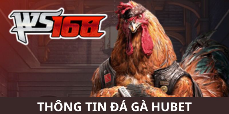 Những ưu điểm thu hút khách hàng tham gia soi kèo gà tại HUBET