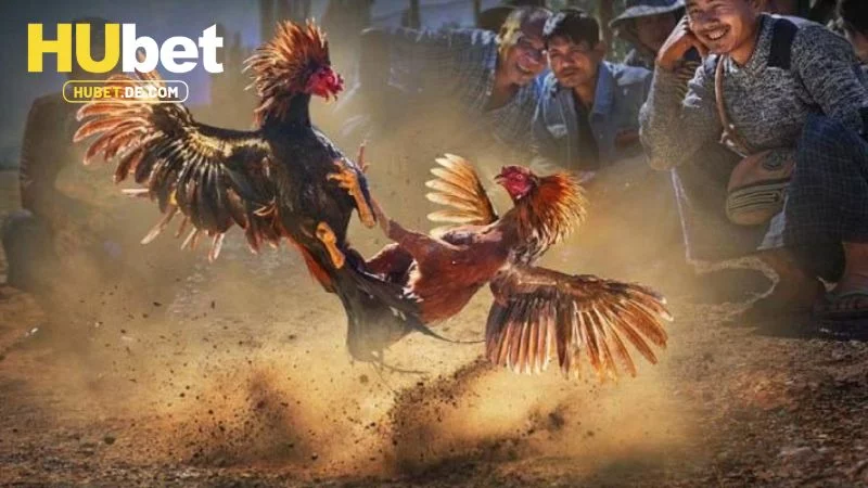 Những ưu điểm nổi bật tạo nên thương hiệu AOG